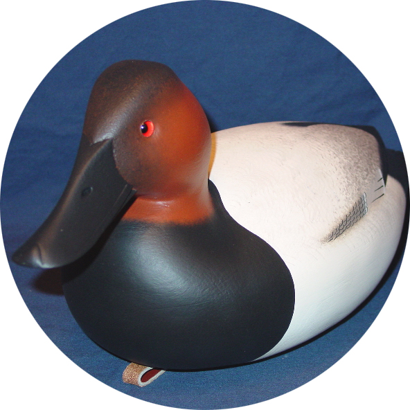 Canvasback Gallery