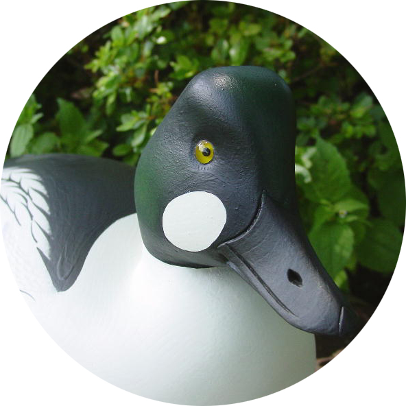 Goldeneye Gallery