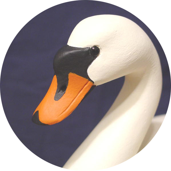 Swan Gallery