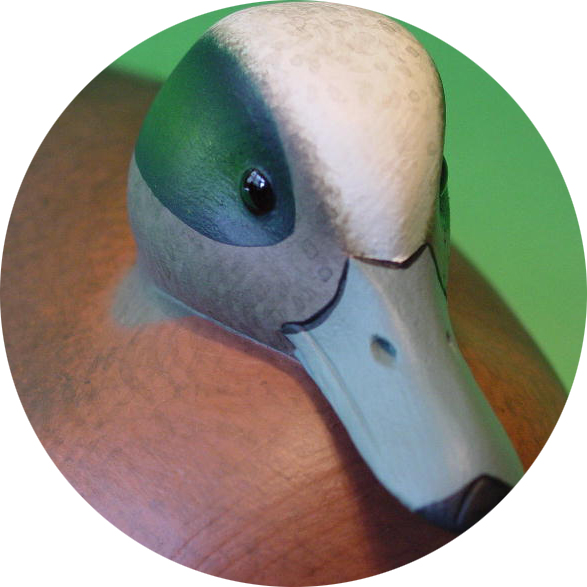 Widgeon Gallery