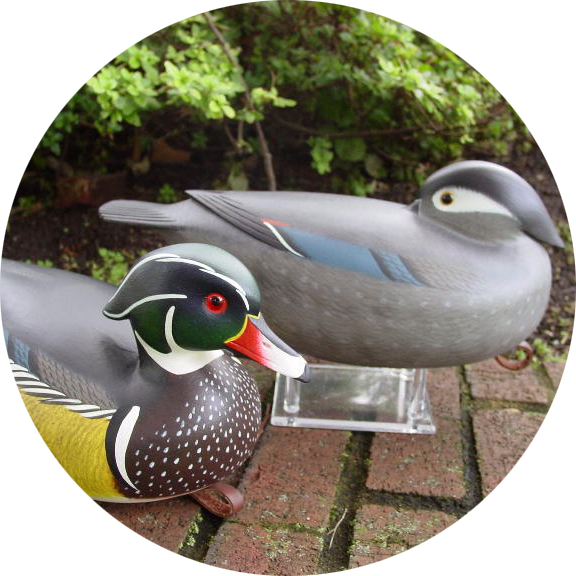 Woodduck Gallery